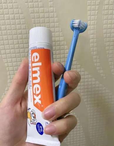 晚上刷牙的重要性，你真的知道吗？